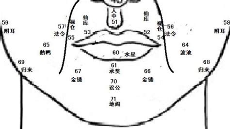 鼻子面相学|麦玲玲面相讲座之 鼻子 – 人相学